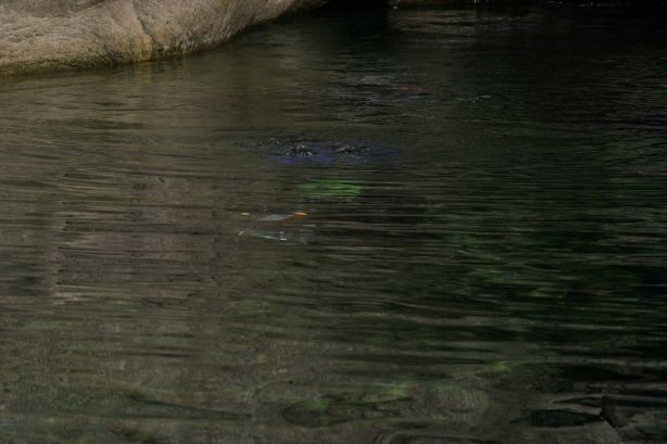IMG_2693.JPG